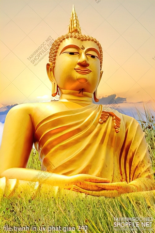 file tranh in uv phat giao 240