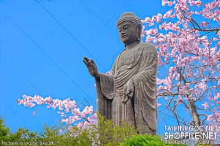 file tranh in uv phat giao 241