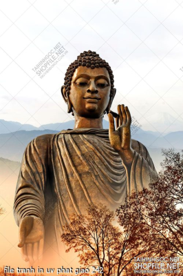 file tranh in uv phat giao 242