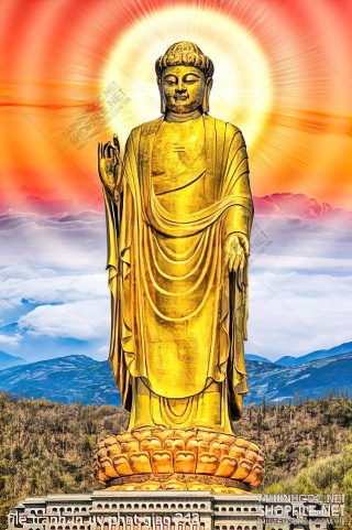 file tranh in uv phat giao 243