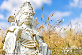 file tranh in uv phat giao 248