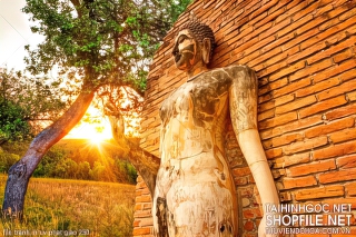 file tranh in uv phat giao 250