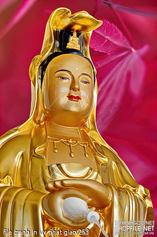 file tranh in uv phat giao 253