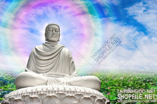 file tranh in uv phat giao 255