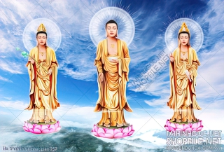 file tranh in uv phat giao 257