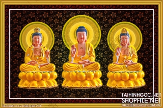 file tranh in uv phat giao 259