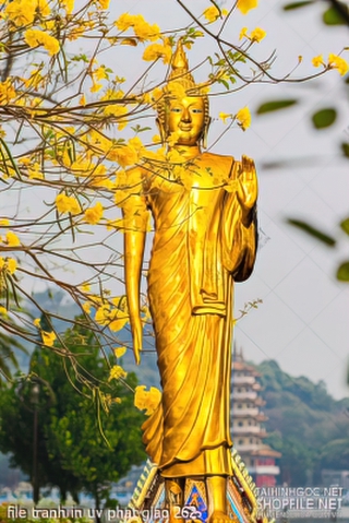 file tranh in uv phat giao 262