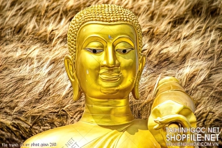 file tranh in uv phat giao 268