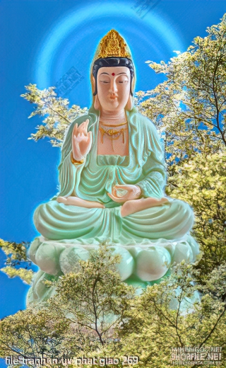 file tranh in uv phat giao 269