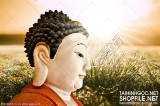 file tranh in uv phat giao 271