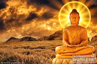 file tranh in uv phat giao 273