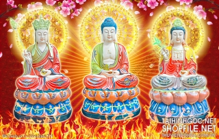 file tranh in uv phat giao 274