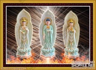 file tranh in uv phat giao 278