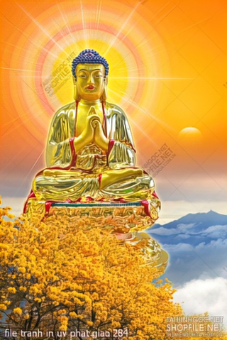 file tranh in uv phat giao 284