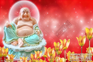 file tranh in uv phat giao 294