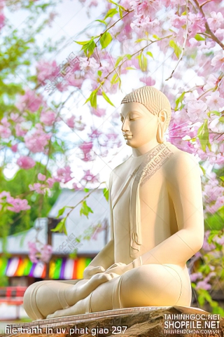 file tranh in uv phat giao 297