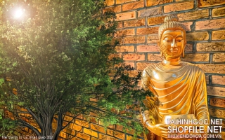 file tranh in uv phat giao 302