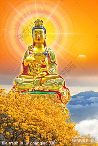 file tranh in uv phat giao 308