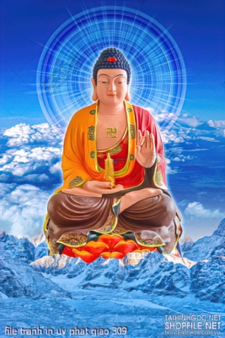 file tranh in uv phat giao 309