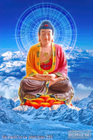 file tranh in uv phat giao 310