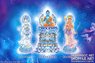 file tranh in uv phat giao 313