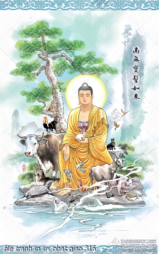 file tranh in uv phat giao 316