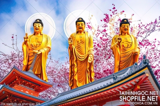 file tranh in uv phat giao 328