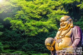 file tranh in uv phat giao 337