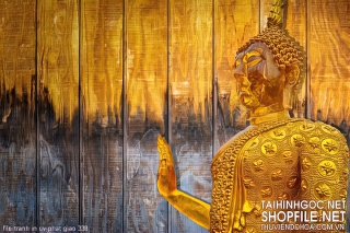 file tranh in uv phat giao 338