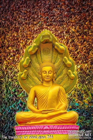 file tranh in uv phat giao 344