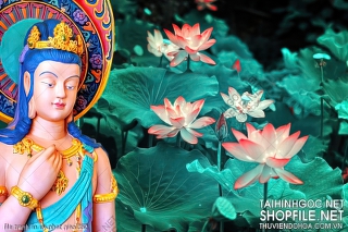 file tranh in uv phat giao 352