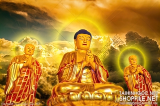 file tranh in uv phat giao 357