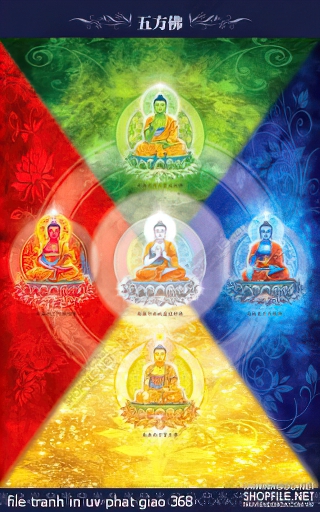 file tranh in uv phat giao 368