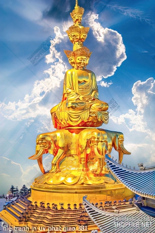 file tranh in uv phat giao 381