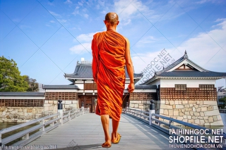 file tranh in uv phat giao 391