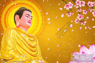 file tranh in uv phat giao 392