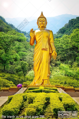 file tranh in uv phat giao 396