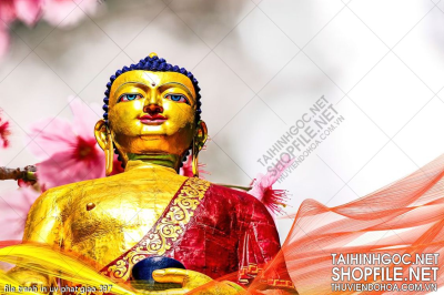 file tranh in uv phat giao 397