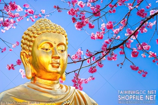 file tranh in uv phat giao 401