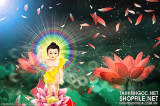 file tranh in uv phat giao 406