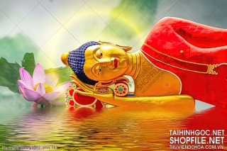 file tranh in uv phat giao 412