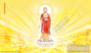 file tranh in uv phat giao 429