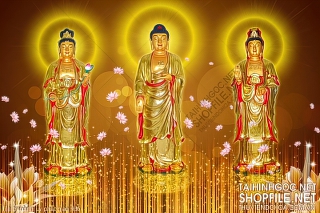 file tranh in uv phat giao 436