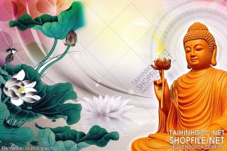 file tranh in uv phat giao 437