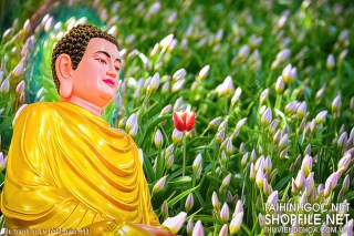 file tranh in uv phat giao 443