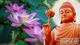 file tranh in uv phat giao 446