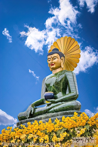 file tranh in uv phat giao 454