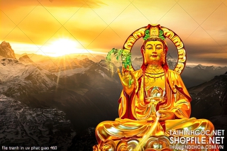 file tranh in uv phat giao 460