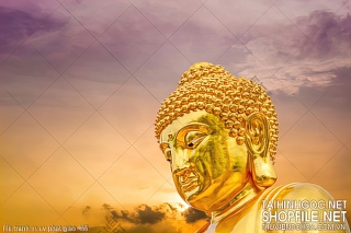 file tranh in uv phat giao 466