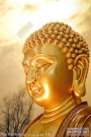 file tranh in uv phat giao 470
